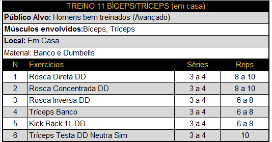 Treino 11 - Bíceps / Tríceps (Casa) 1