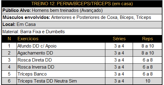 Treino 12 - Perna /Bíceps / Tríceps (Casa) 1